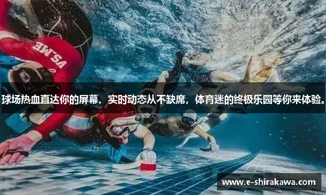 kaiyun平台登录入口手机版